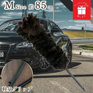 y365yVqɔz ED-120BK т΂ ō GXL[ ʒ ESCI I[Xgb` ubN VR  ԗp  {  nhCh ԗpi쏊   t@[XgNXt