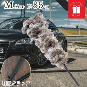 LO1ʁy365yVqɔz ED-120GY т΂ hV̓ ō GXL[ ESCI I[Xgb` ubN  ԗp  {  nhCh ԗpi쏊   t@[