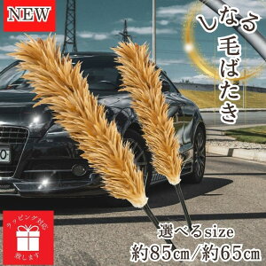 y365yVqɔz MB-006 т΂ ԗp hV̓ { { Ȃ Ȃ 傫  RpNg VR  ԗp ԗpi  ԗpi쏊   uE F zR   