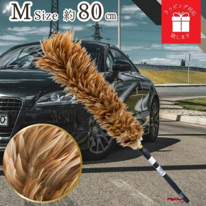 y365yVqɔz M-55 т΂ { L uE ō GXL[ ʒ ESCI т΂ VR  ԗp  {  nhCh ԗpi쏊   ԕ  ق