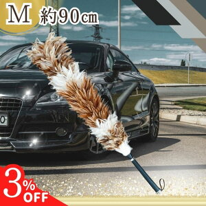 y15 3N[|zy365yVqɔz YN-100 т΂ ō { VR  ԗp  {  ԗpi쏊   蕨 ̓ j  y 傫 v[g 