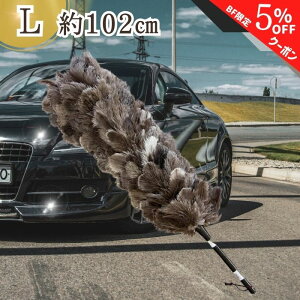 yubNtCf[ʃN[|zy365yVqɔz M-180 т΂ ō GXL[ ʒ ESCI I[Xgb` O[ uE VR  ԗp  {  ԗpi쏊