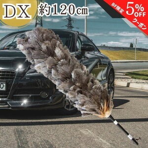 yubNtCf[ʃN[|zy9܂œz M-500 ō GXL[ ʒ ESCI т΂ I[Xgb` O[ VR  ԗp  {  nhCh ԗp