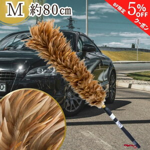 yubNtCf[ʃN[|zy365yVqɔz M-55 т΂ { L uE ō GXL[ ʒ ESCI т΂ VR  ԗp  {  nhCh 