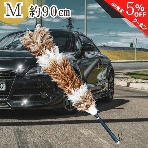 yubNtCf[ʃN[|zy365yVqɔz YN-100 т΂ ō { VR  ԗp  {  ԗpi쏊   蕨 ̓ j  y 傫 