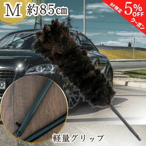 yubNtCf[ʃN[|zy365yVqɔz ED-120BK т΂ ō GXL[ ʒ ESCI I[Xgb` ubN VR  ԗp  {  nhCh   t@