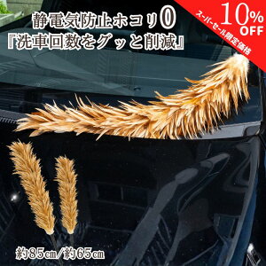 y420`ʉizy365yVqɔzт΂ ԗp hV̓ { { Ȃ Ȃ 傫  RpNg VR  ԗp ԗpi  ԗpi쏊   uE F