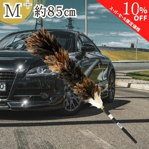 y420`ʉizy9܂œz M-60 т΂ GXL[ ʒ   L  ԗp {  nhCh ԗpi쏊    zR ق  KX