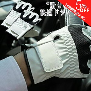 y420`28ԌN[|zy365yVqɔz LZGL-5952 hCuO[u hCrOO[u   w t[TCY UbNX  bV ׂ~ߕt zCg 