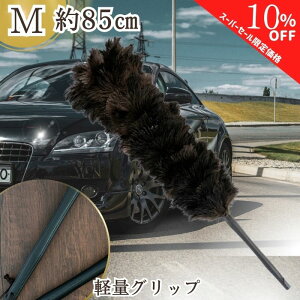 y420`ʉizy365yVqɔz ED-120BK т΂ ō GXL[ ʒ ESCI I[Xgb` ubN VR  ԗp  {  nhCh   t@[XgNXt