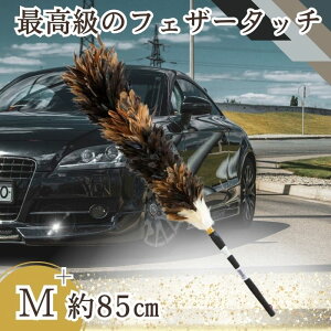 y9܂œz M-60 т΂ GXL[ ʒ   L  ԗp {  nhCh ԗpi쏊    zR ق  KX ReBO ԕ 傫