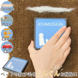 【平日9時まで当日発送】 犬 猫 毛取り 毛集め ペット ブラシ 一毛打尽 いちもうだじん 抜け毛 掃除用品 カーペット マット ソファ 車 車内 毛布 掃除ブラシ リアライズ エコ ハンディタイプ ペットの抜け毛掃除 車内 キャットタワー 掃除 犬 猫 毛 掃除 簡単 経済的 長持ち