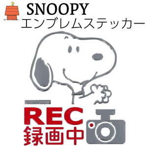 y9܂œz SN199 GuXebJ[ Xk[s[ M   LN^[  XebJ[ oCN ڈ ZX S xXebJ[ uh fR  