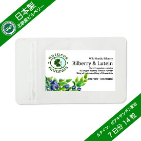(初回購入限定・お試し商品) ビルベリー＆ルテイン ビルベリー生換算5,000mg相当 ルテイン＆ゼアキサンチン配合 オメガ3脂肪酸 DHA 配合 GMP認定 お試し約7日分 14粒 袋入り