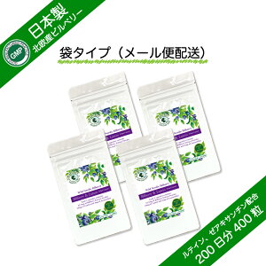 �r���x���[�����e�C�� �r���x���[�����Z5,000mg���� ���e�C�����[�A�L�T���`���z�� �I���K3���b�_ DHA�z�� GMP�F�� �T�v�������g ��200���� 400���i�{�g���^�C�v�A�܃^�C�v�j