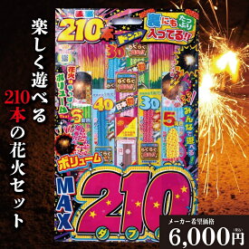 花火 手持ち花火 セット 「価格・品質比較して下さい！」 「楽しさと映えを意識した花火セット」 210本 インスタ 映え 花火 手持ち 送料無料 高評価 【平日12時迄のあす楽注文で当日発送】