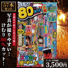 花火 手持ち花火 セット 「価格・品質比較して下さい！」 「楽しさと映えを意識した花火セット」 80％煙カット インスタ 映え 花火 手持ち 送料無料 高評価 【平日12時迄のあす楽注文で当日発送】