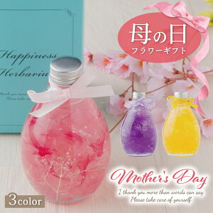 yxĂ߂ˁz ̓ n[oE v[g uuU[ht[œ̊ӂv 蕨 񂰑ܕt n[oE Mtg 14cm×9cm Mtg v[g bsO 킢 