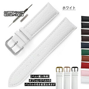 �y�|�C���g5�{+15���N�[�|���z ���v�x���g �V�������N���U�[ �{�v �ւ��o���h �����Y ���f�B�[�X 12mm 14mm 16mm 18mm 19mm 20mm 21mm 22mm �v�x���g ���C�` ���� �r���v�x���g �o�l�_ �H��t �r�W�l�X ��