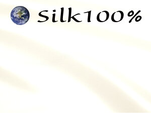 23×50ysAzCgz{ VN 100 Te n@͂ 19 􂦂 n EIbVu nM z [؂