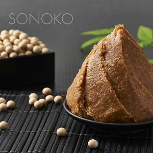 SONOKO X Y  X d 蕨 v[g \mR