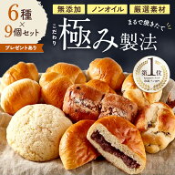 冷凍パン バラエティパンセット 9個入り 無添加 冷凍 解凍 詰め合わせ 取り寄せ 送料無料 朝食 常備食 ノ…