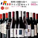 【単品合計価格15,000円超→7,980円】赤ワイン セット 飲み比べ 12本 ワイン 福袋 ヨーロッパ フランス スペイン イタ…