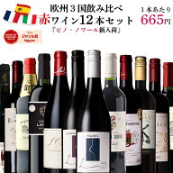 【単品合計価格15,000円超→7,980円】赤ワイン セット 飲み比べ 12本 ワイン 福袋 ヨーロッパ フランス …
