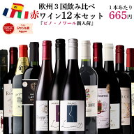 【単品合計価格15,000円超→7,980円】赤ワイン セット 飲み比べ 12本 ワイン 福袋 ヨーロッパ フランス …