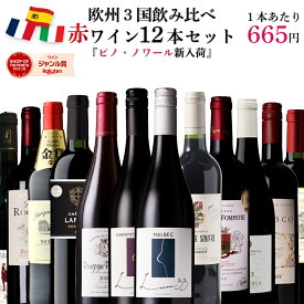 【単品合計価格15,000円超→7,980円】赤ワイン セット 飲み比べ 12本 ワイン 福袋 ヨーロッパ フランス スペイン イタリア 欧州3国セット 金賞 ボルドー メドック キャンティ ギフト 送料無料 宅飲み アルコール