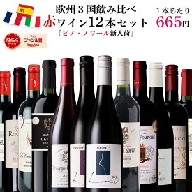 【6月4日~6月11日までエントリーでポイント10倍】【単品合計価格15,000円超→7,980円】赤ワイン セット 飲み比べ 12本 ワイン 福袋 ヨーロッパ フランス スペイン イタリア 欧州3国セット 金賞 ボルドー メドック キャンティ ギフト 送料無料 宅飲み アルコール