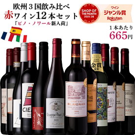 【衝撃の1000円OFFクーポン×エントリーでポイント10倍】【単品合計価格15,700円→7,980円】赤ワイン セット 飲み比べ 12本 ワイン 福袋 ヨーロッパ フランス スペイン イタリア 欧州3国セット 金賞 ボルドー メドック キャンティ ギフト 送料無料 宅飲み アルコール
