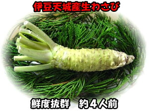 킳 1{@4lO