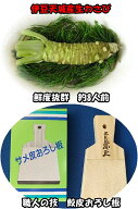 【送料無料】生わさびサメ皮おろし板付き【smtb-T】【楽ギフ_包装】【楽ギフ_のし】 ※お届け日指定不可