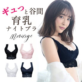 【2点購入で10%OFFクーポン】ナイトブラ 育乳 育乳ブラ バストアップ ブラ 下着 女性 谷間 脇肉 ボリューム アップ セクシー ブラジャー ブラ 大きいサイズ 脇高 レディース かわいい 可愛い Moriage モリアージュ プラス ナイトブラ 0