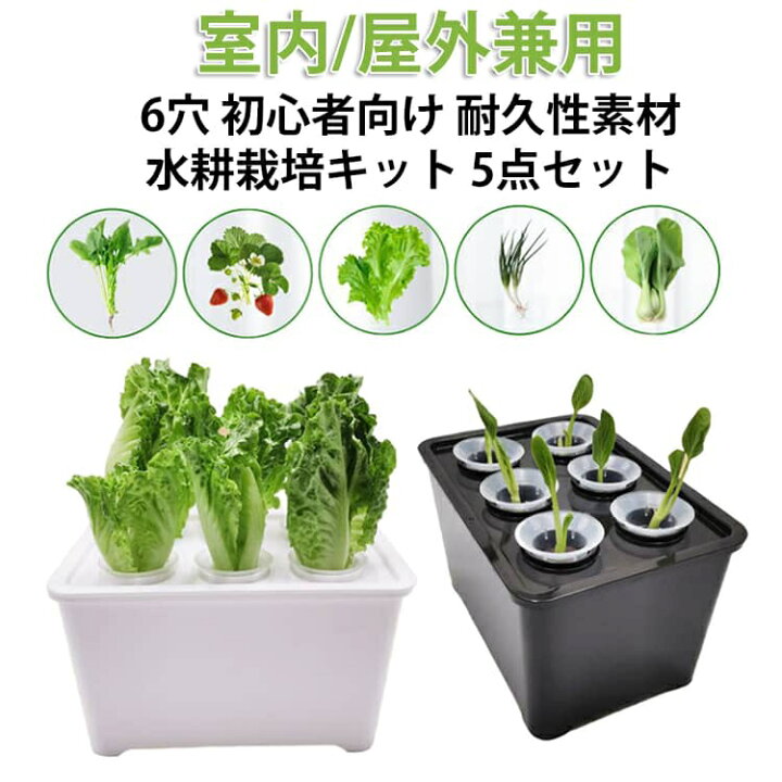 楽天市場】【5点セット】 水耕栽培キット 家庭菜園 6穴 水耕栽培 大型 