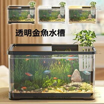 楽天市場】クラゲ 飼育 販売（ペット・ペットグッズ）の通販