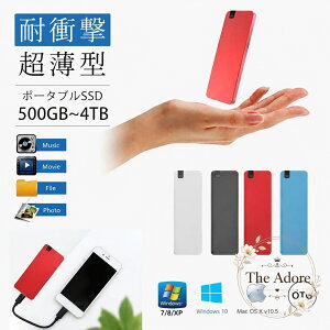 �|�[�^�u��SSD �O�t�� 500GB 1TB 2TB 4TB USB3.1 USB-C�ڑ� USB-A�ϊ��R�l�N�^�Ή� OTG �X�}�z���� �ϏՌ� �����^ �É� �R���p�N�g �A���~�����V�F�� �O�t���X�g���[�W �ʐ^ ���� ���y ���ނ̕ۑ� �o�b�N