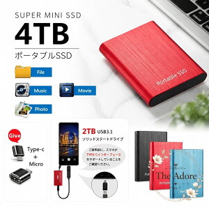 �O�t��SSD 2TB�E4TB�Ή� �|�[�^�u�����^�݌v �A���~�j�E�������{�f�B USB 3.1�ڑ� �ǂݍ��ݍő�430MB/s�E�������ݍő�370MB/s �ϏՌ��d�l USB-C�P�[�u����USB-A�ϊ��R�l�N�^�t�� Windows�EOS X�ELinux�Ή� An