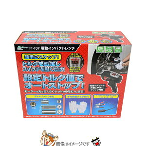 厩H ebN FT-10P d CpNg`