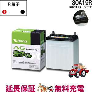 30A19R  obe[ gN^[ _@p GiW[EBY adH  pi ^tO AG L삭 ݊ 28A19R