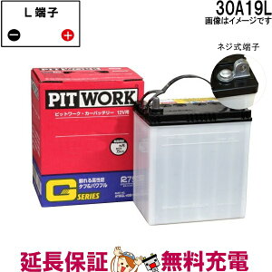 30A19L AYBGL-30A19 Y GV[Yobe[