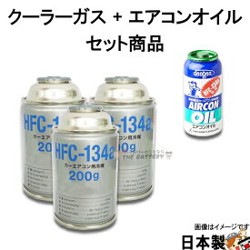 エアコンガス R134A 交換セット 134aガス 200g缶 3本 + PAGコンプレッサーオイル入ガス 50g 1本 OG-1040F