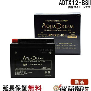 ADTX12-BSII �o�C�N �A�N�A�h���[���S�[���h�o�b�e���[ �݊� YTX12-BS GTX12-BS FTX12-BS KTX12-BS YTX12-BS RBTX12-N DTX12-BS ATX12-BS CTX12-BS BTX12-BS STX12-BS PTX12-BS