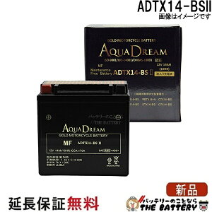 ADTX14-BSII �o�C�N �A�N�A�h���[���S�[���h�o�b�e���[ �݊� YTX14-BS FTX14-BS YTX14-BS RBTX14-N DTX14-BS ATX14-BS CTX14-BS BTX14-BS STX14-BS PTX14-BS