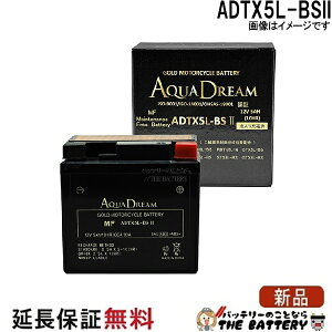 ADTX5L-BSII �o�C�N �A�N�A�h���[���S�[���h�o�b�e���[ �݊� YTX5L-BS GTX5L-BS FTX5L-BS KTX5L-BS YTX5L-BS RBTX5L-N DTX5L-BS ATX5L-BS CTX5L-BS BTX5L-BS STX5L-BS PTX5L-BS