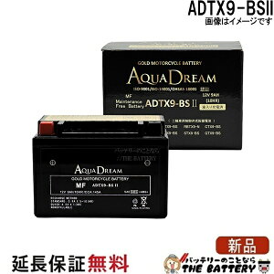 ADTX9-BSII �o�C�N �A�N�A�h���[���S�[���h�o�b�e���[ �݊� YTX9-BS GTX9-BS FTX9-BS KTX9-BS YTX9-BS RBTX9-N DTX9-BS ATX9-BS CTX9-BS BTX9-BS STX9-BS PTX9-BS