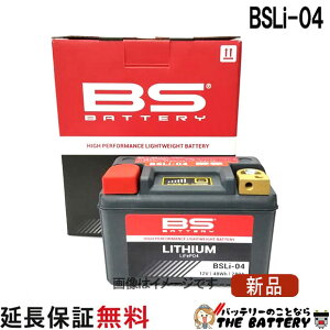 BSLi-04 BS ���`�E�� �o�b�e���[ �h���݌v �����e�i���X�t���[ �X�Γ��ډ\