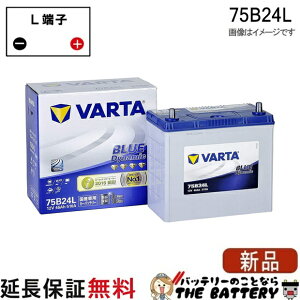 75B24L �o�b�e���[ Varta Blue �[�d����ԑΉ� �؍���