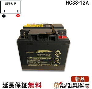 �y����13���������o�ׁz HC38-12A �d���Ԉ֎q �o�b�e���[�X�Y�L �V�j�A�J�[ �d���J�[�g �Z�j�A�J�[ ���� ��p�i �T�C�N���o�b�e���[�݊� SC38-12 SER38-12 WP40-12NE 31500-V17-701